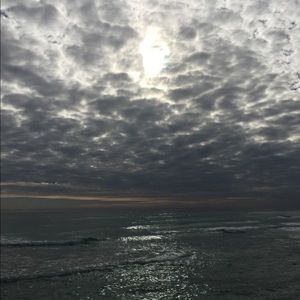 Meet your Posher, Dominique